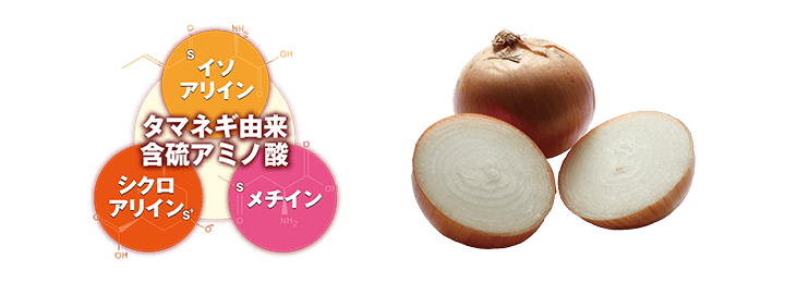 タマネギ由来含硫アミノ酸